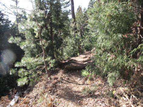 20190108hike (81)